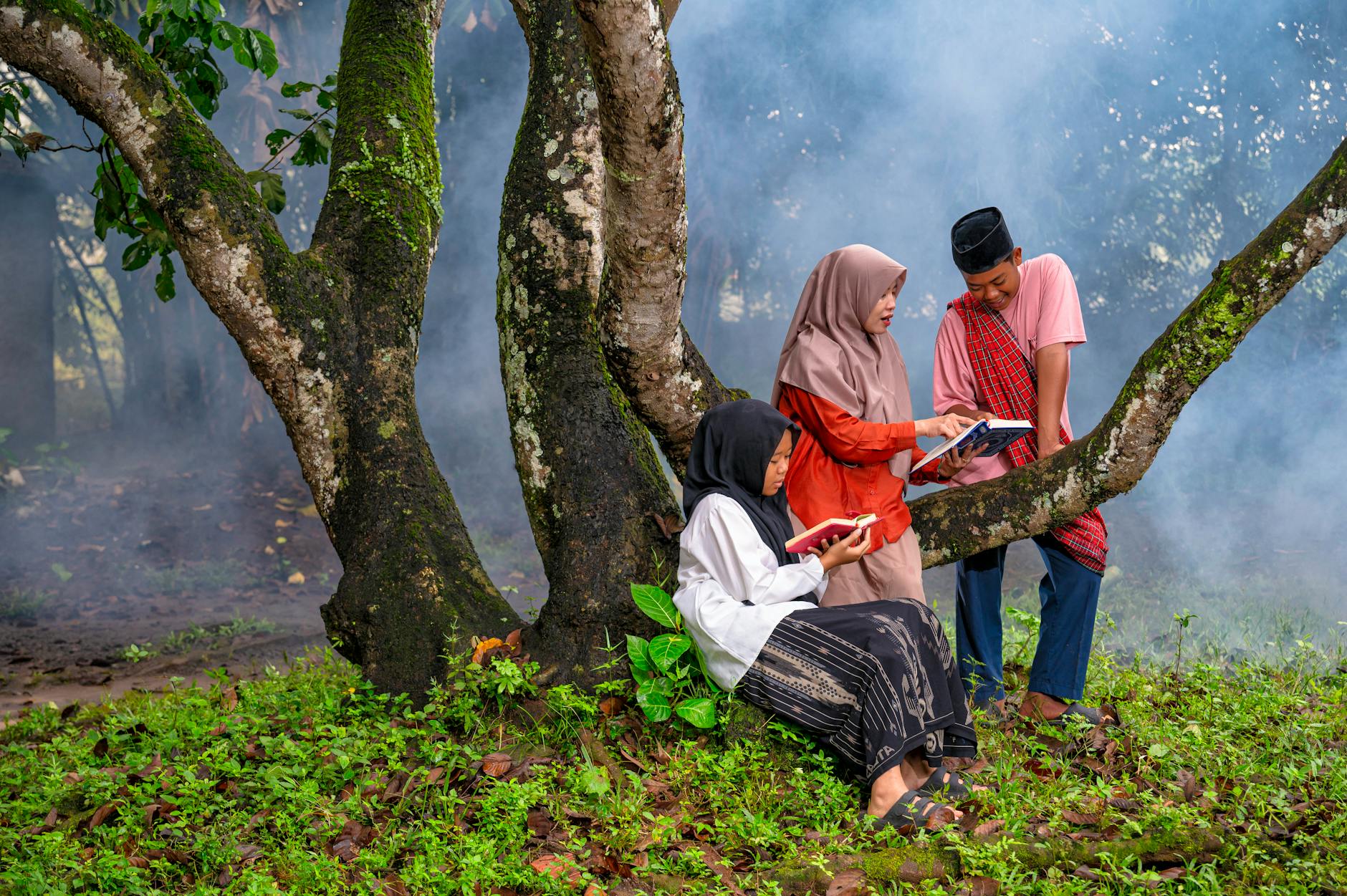 Harga minyak kutus kutus original terbaru 2026, minyak herbal mujarab untuk kesehatan.